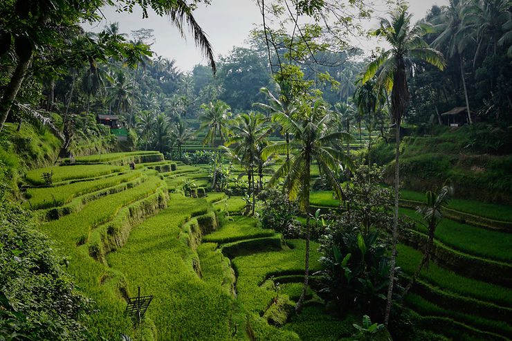 The Best Time to Visit Bali: Weather, Festivals, and Events