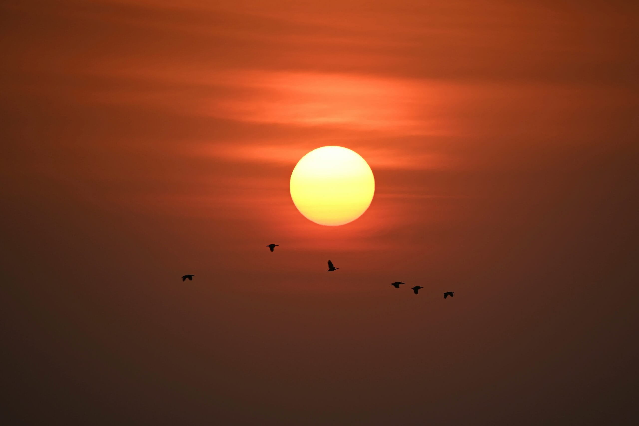 Gambia sun