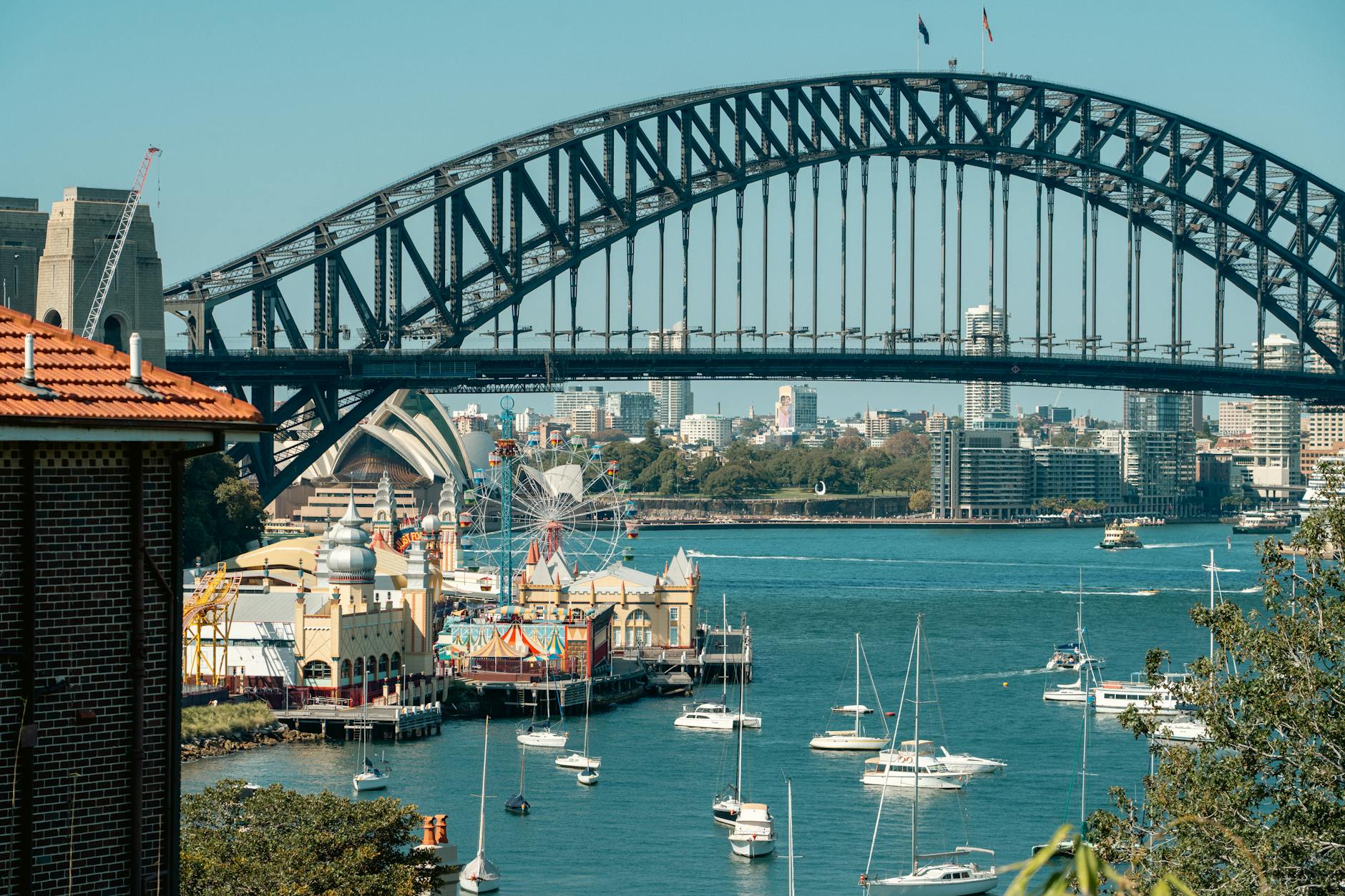 various sailboats under the sydney harbour bridge