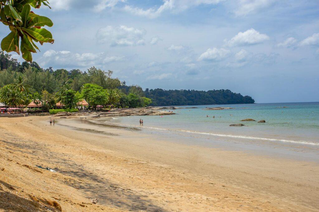 a sandy beach with a blue sky and green trees