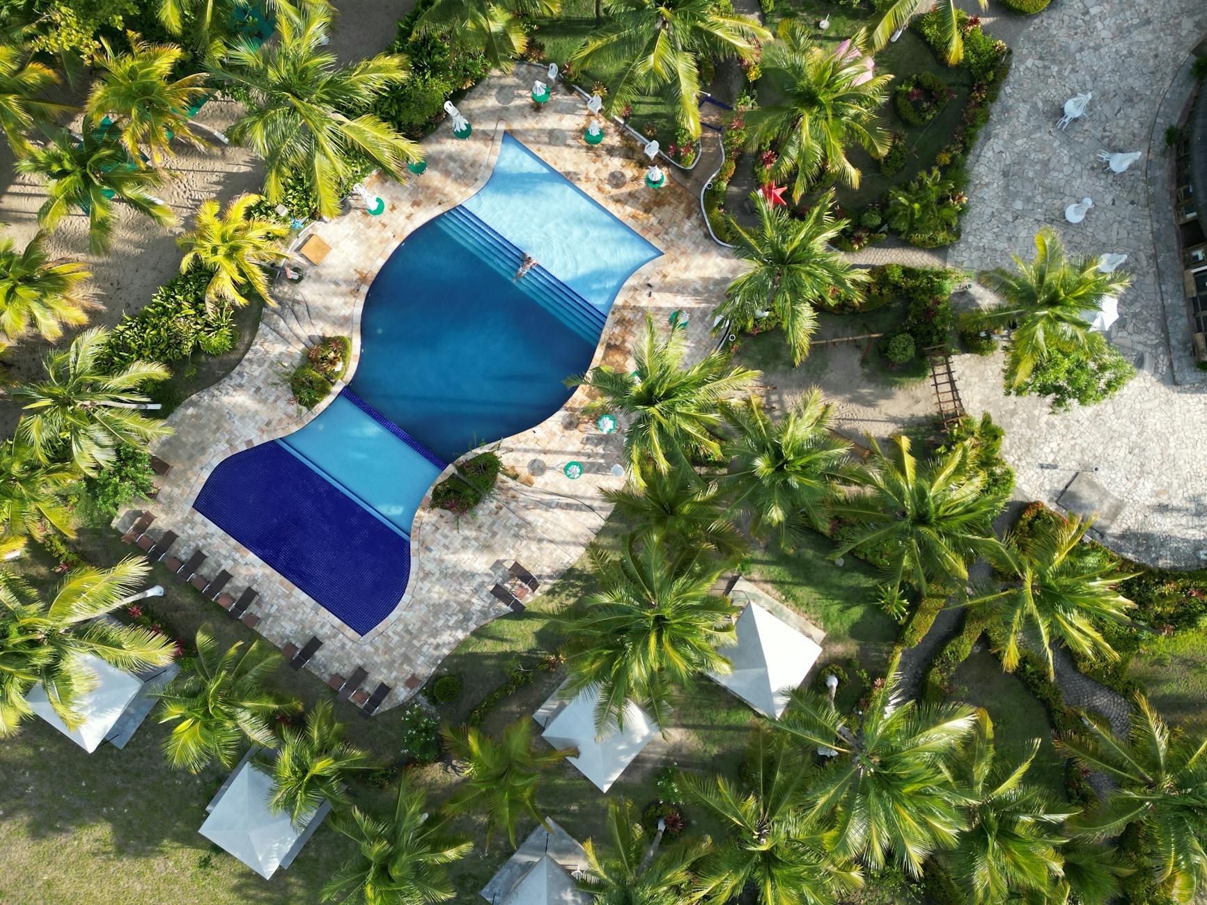 Aerial view of all-inclusive resort pool surrounded by palm trees, Punta Cana