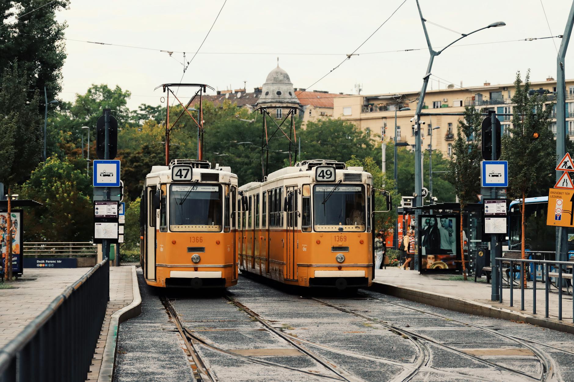 Two classic yellow Budapest trams at a stop on the city's tram network.
