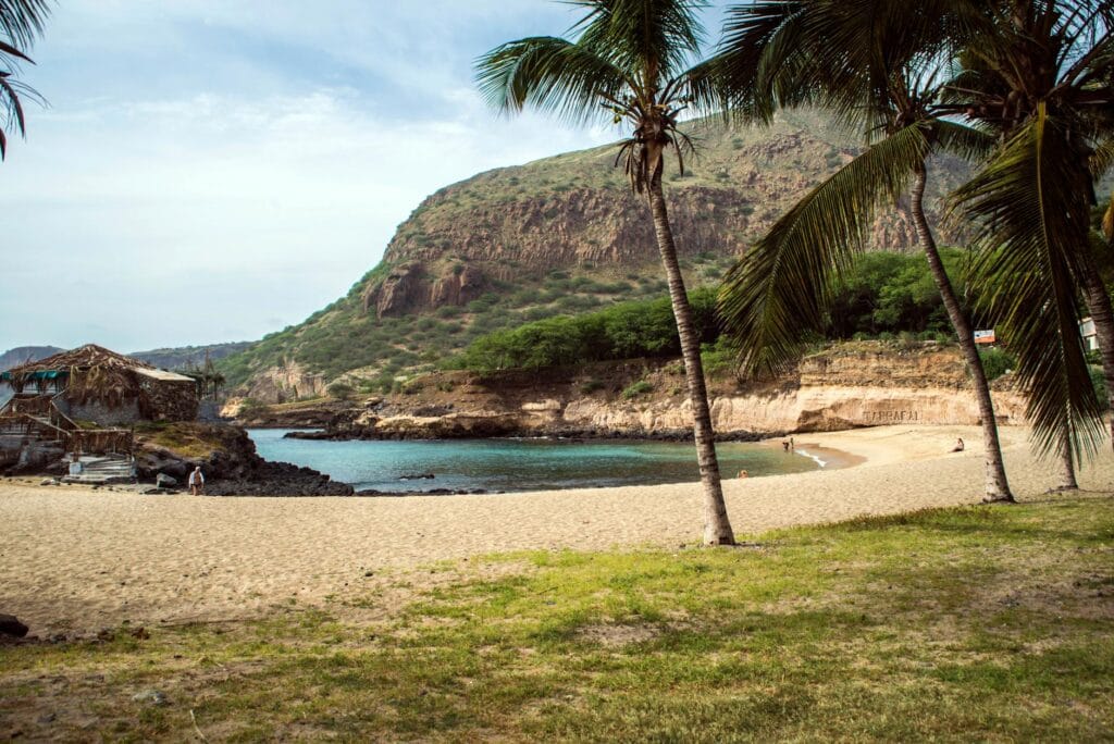 Tranquil tropical beach in Cape Verde with clear waters and palm trees
