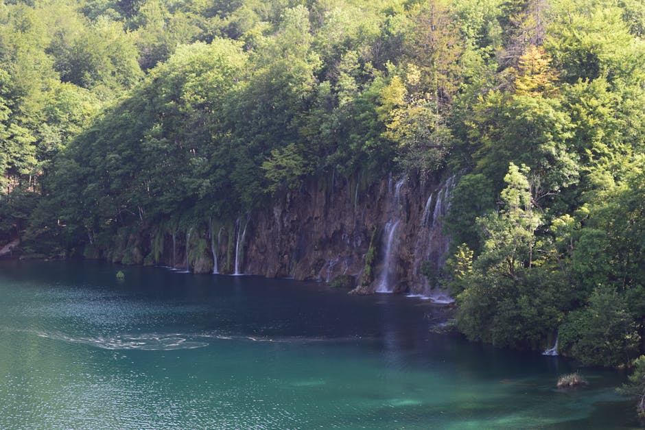 Waterfalls cascading through forested gorges at Plitvice Lakes National Park, Croatia
