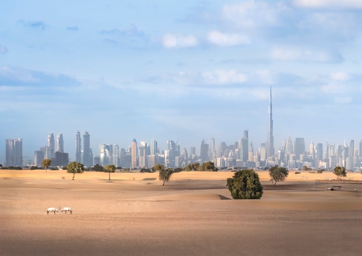Dubai cityscape viewed from the desert at sunset