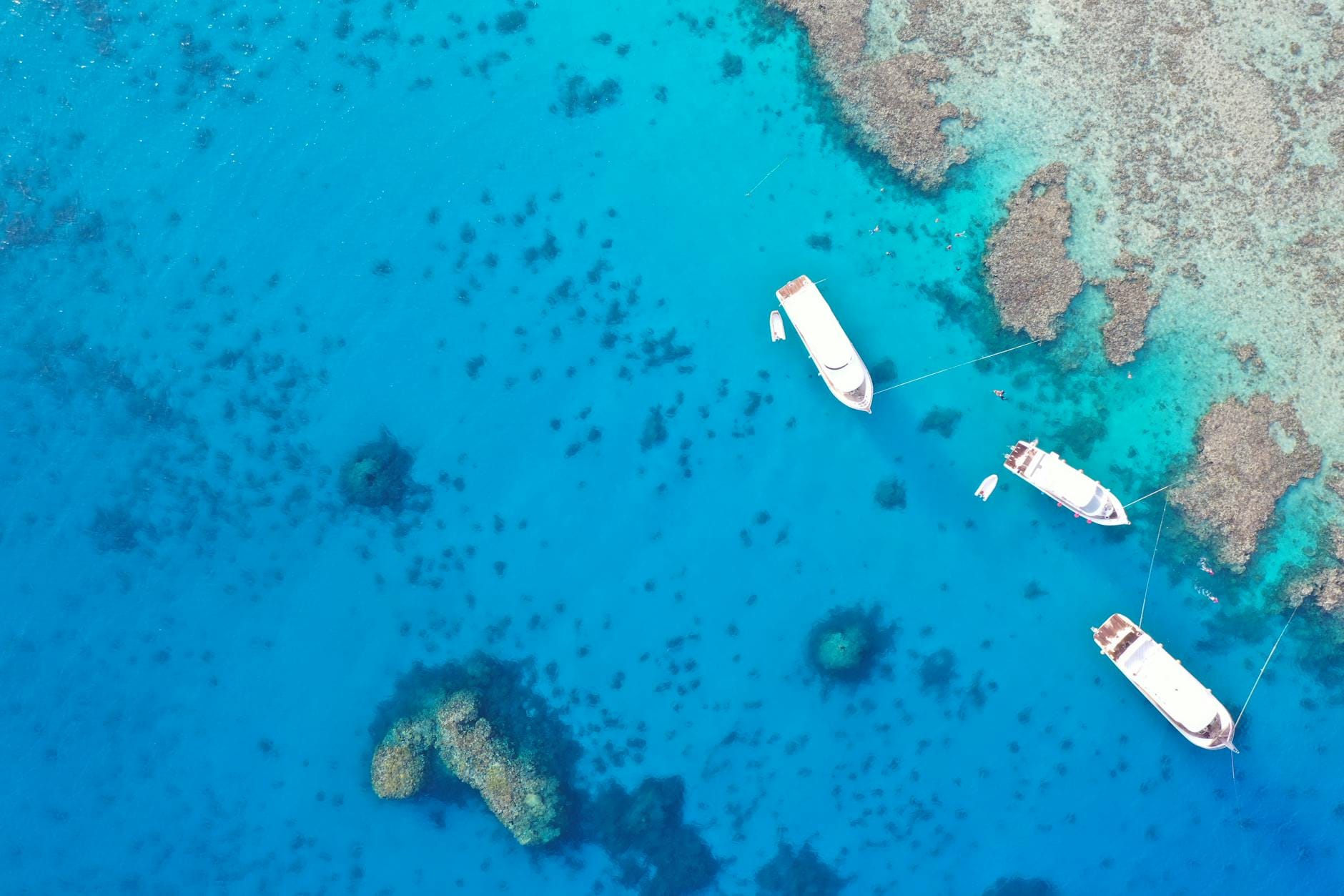 Aerial view of boats near coral reefs in the clear waters of Hurghada, Egypt