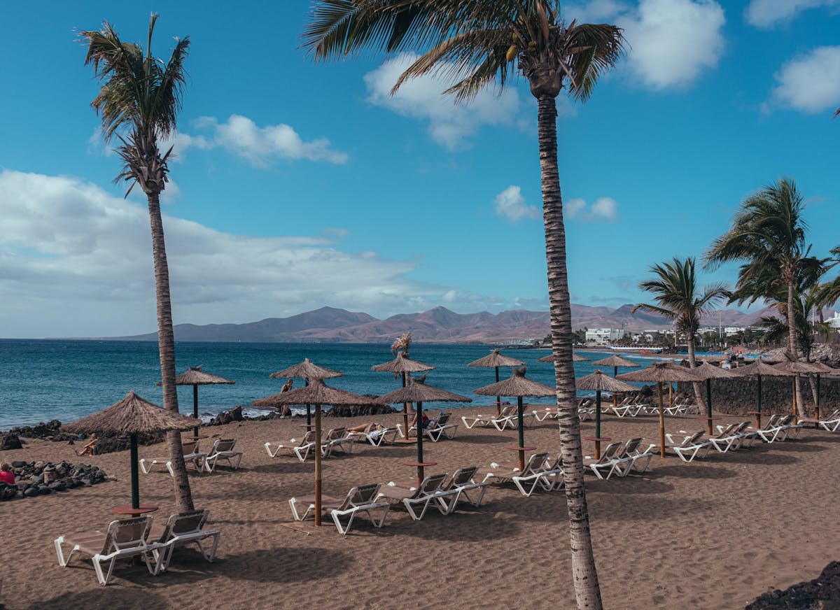 Palm trees and straw parasols lining a sandy Lanzarote beach with sunbeds and volcanic mountains in the background