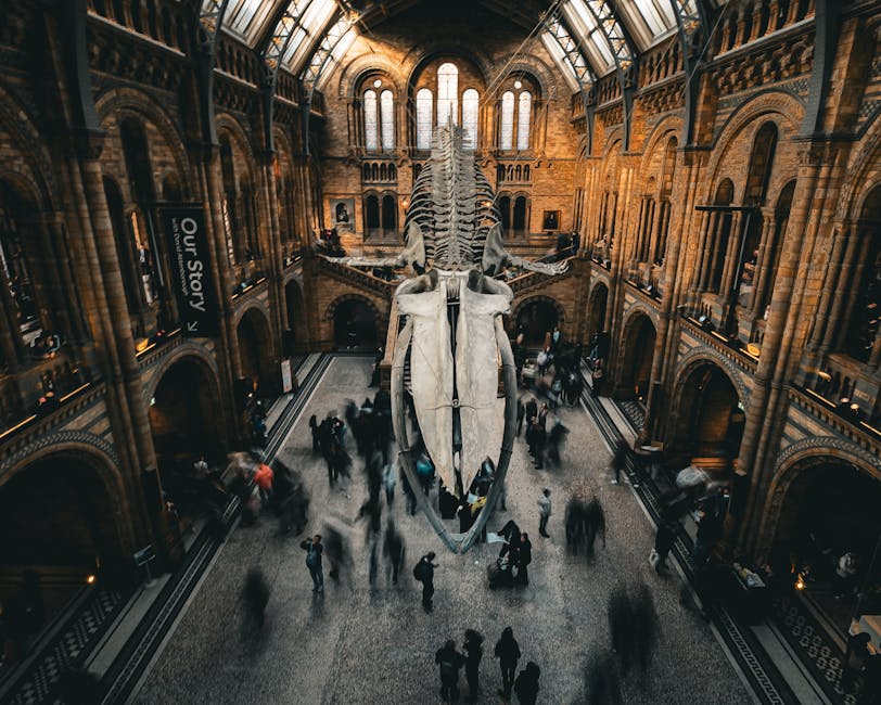 Visitors inside the Natural History Museum in London, free entry