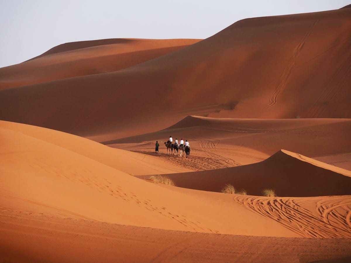 Camel trek across the orange dunes of the Sahara desert near Merzouga, Morocco.