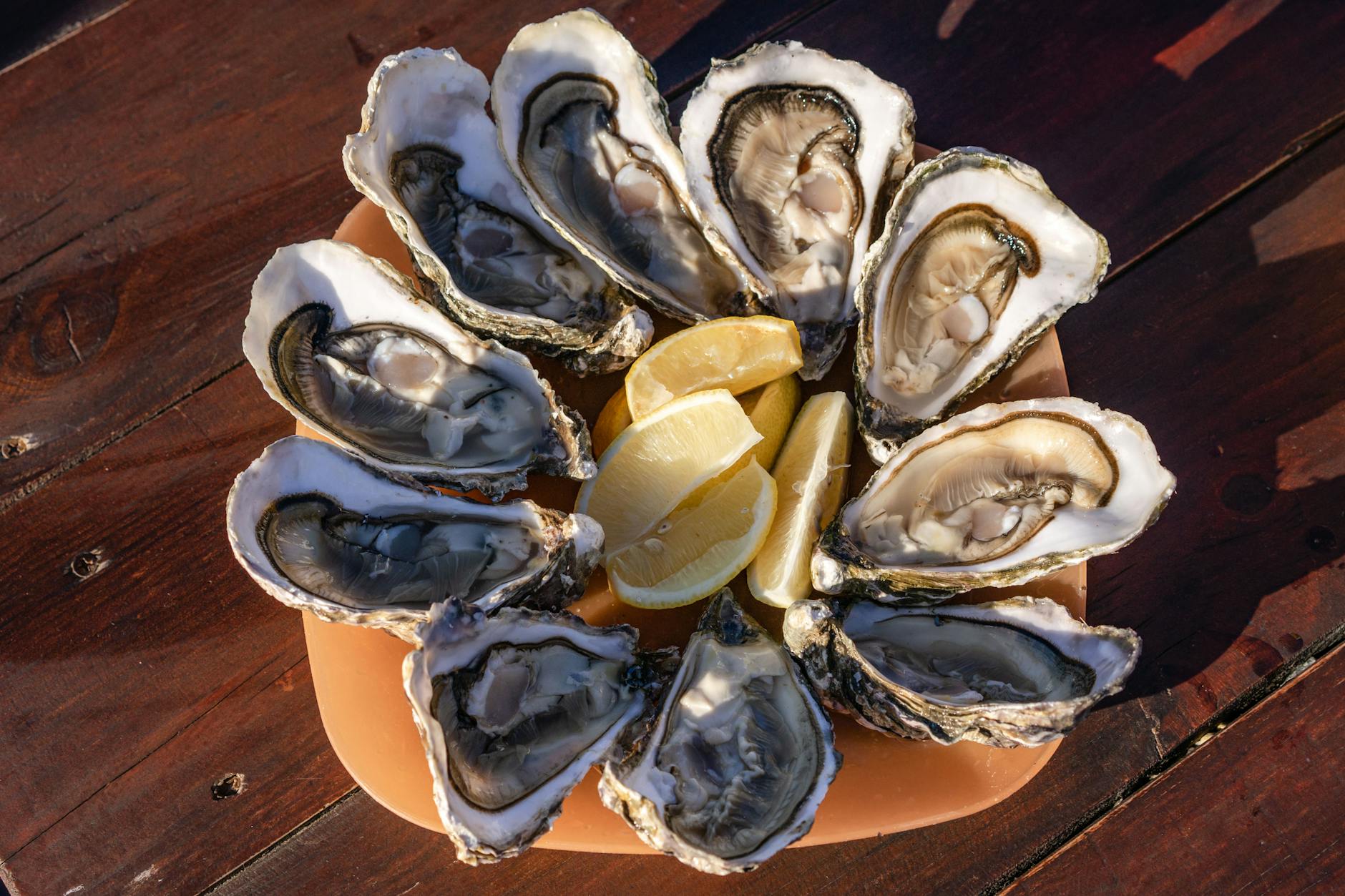 Fresh oysters on ice with lemon slices, typical of Galicia, Spain