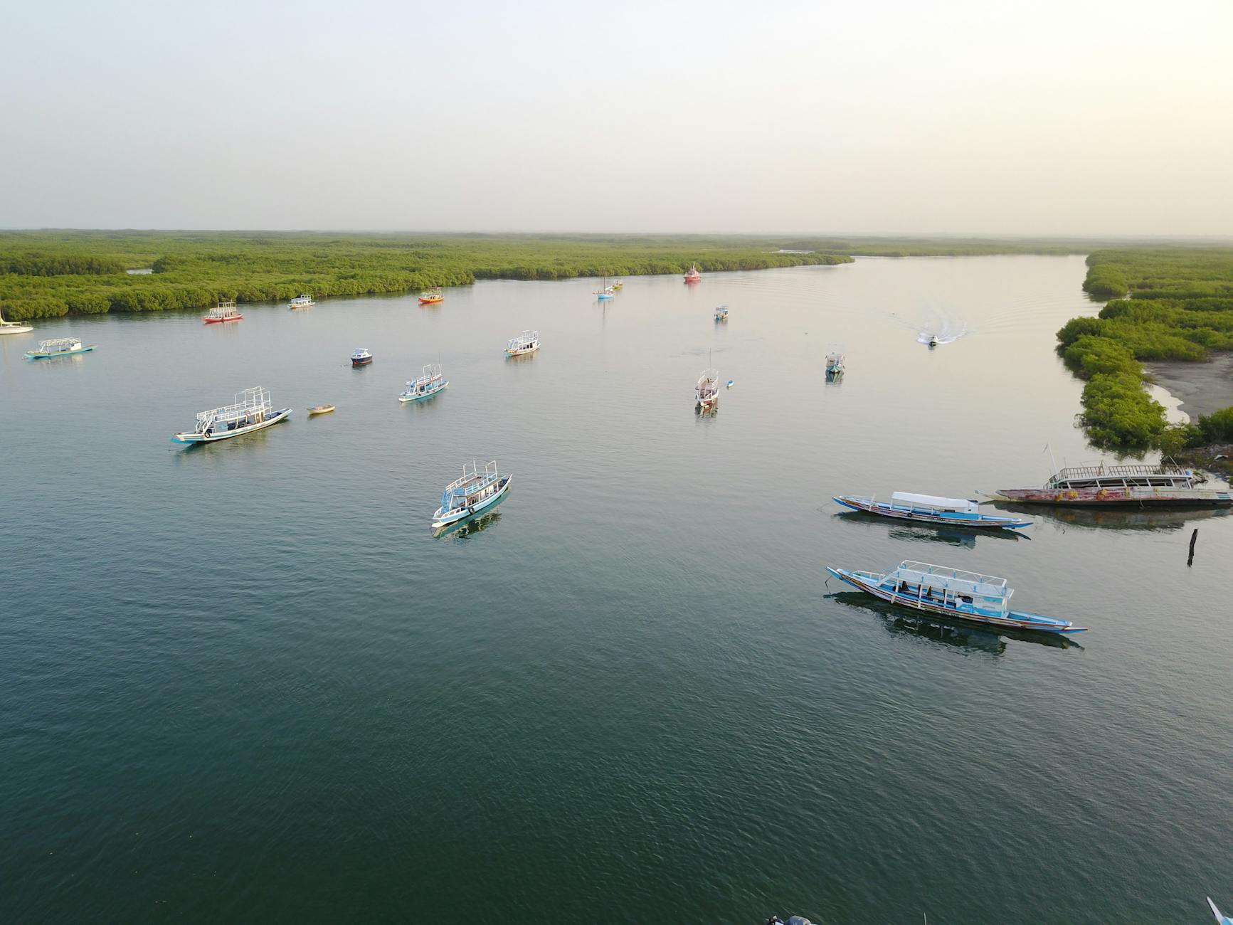Fishing boats on a river in The Gambia surrounded by lush green trees