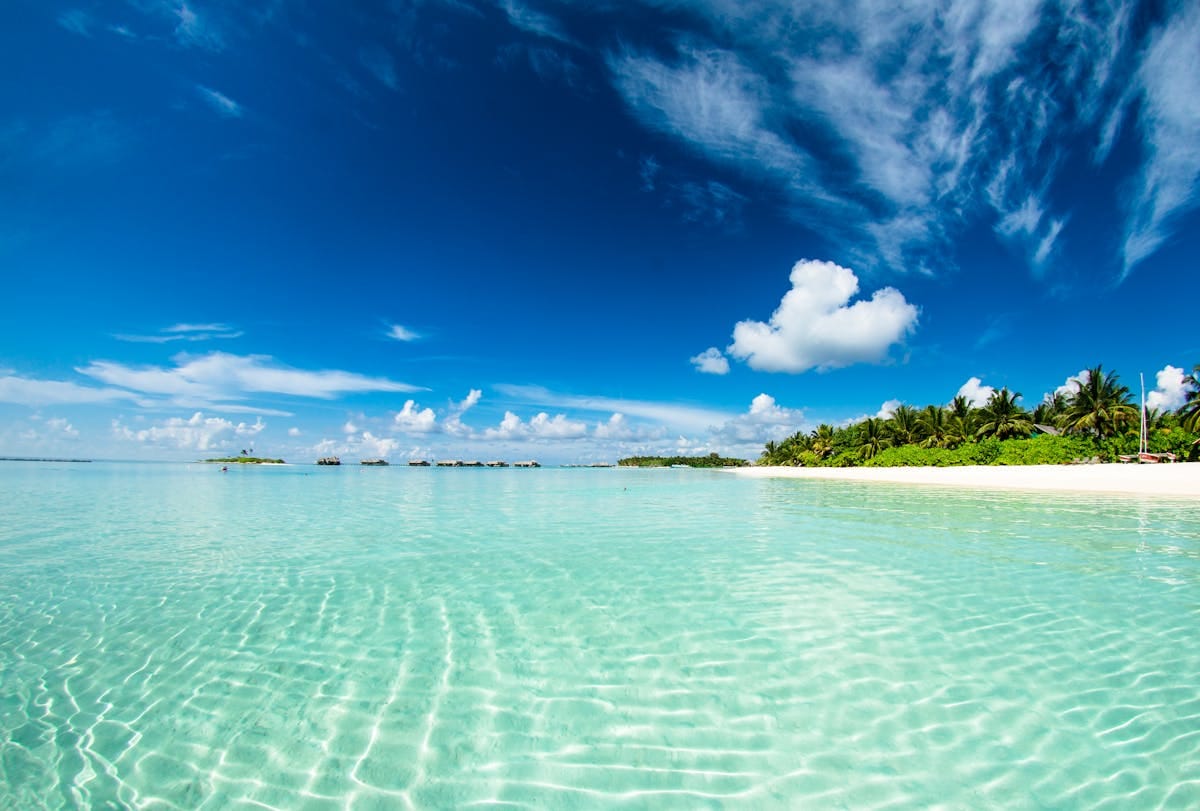 Turquoise tropical beach with palm-lined island, BA Holidays long-haul destinations