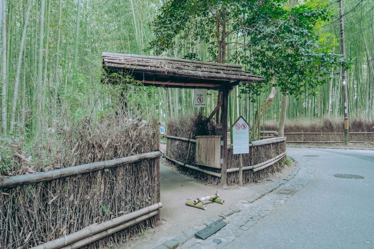 Path through the Arashiyama bamboo grove, Kyoto, a quieter base on the city's western edge