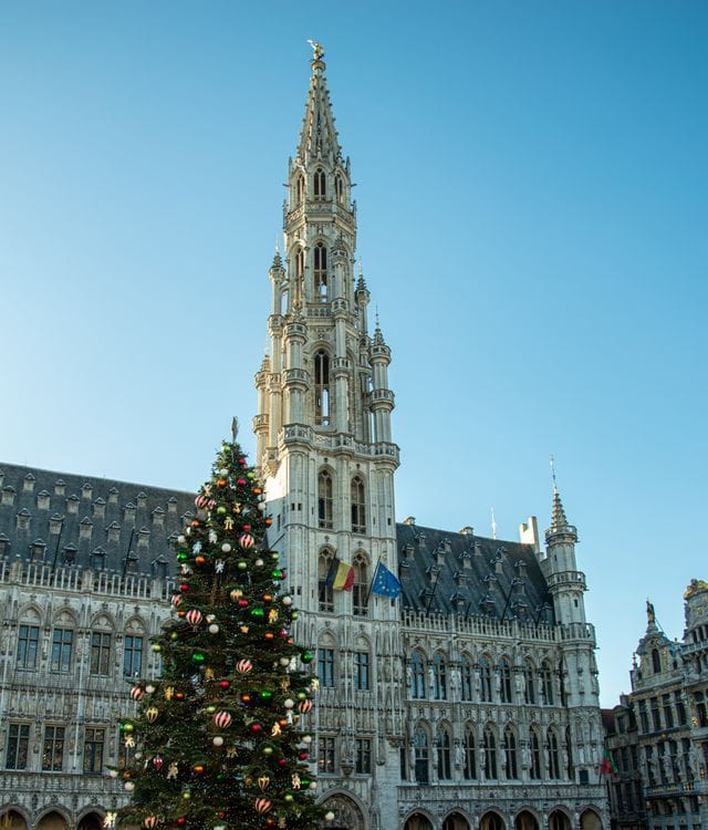 Grand Place Brussels showing the Gothic Town Hall and surrounding guild houses