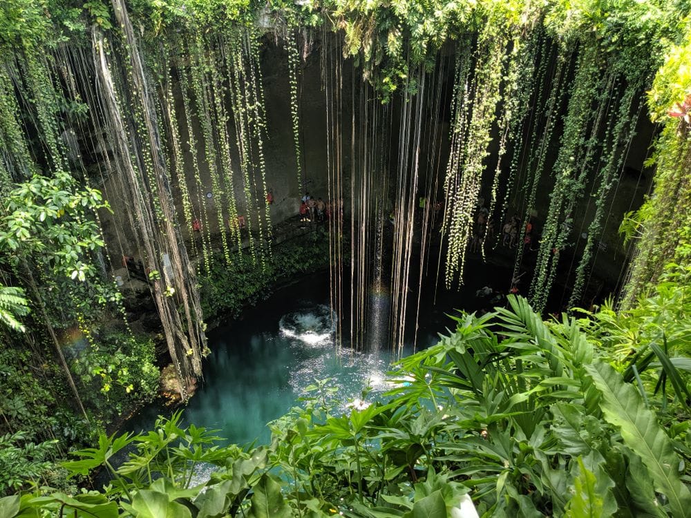 Cenote Ik Kil surrounded by lush greenery and hanging vines in the Yucatán Peninsula, Mexico