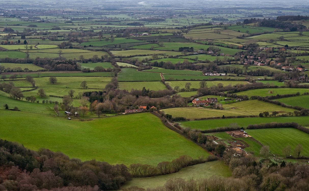 English countryside green fields, Epping Forest is a free day trip within an hour of London