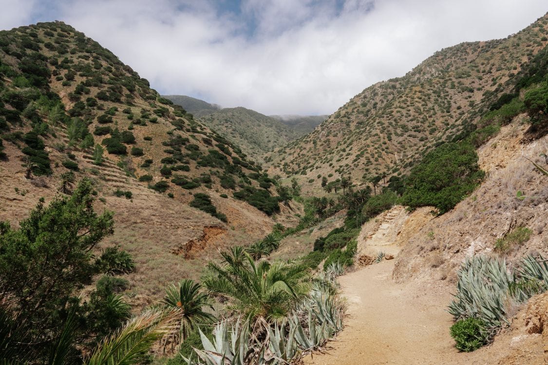 La Gomera lush green valleys and mountain landscape, Canary Islands