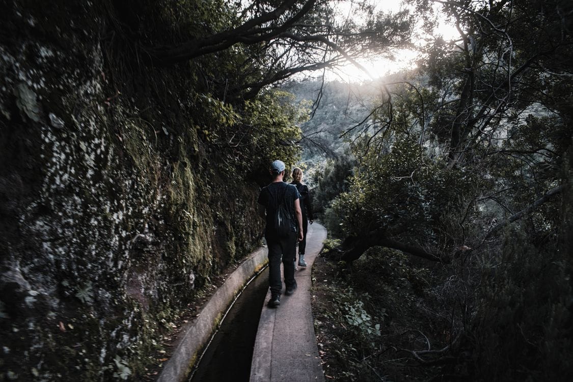 Levada walk through laurel forest, Madeira