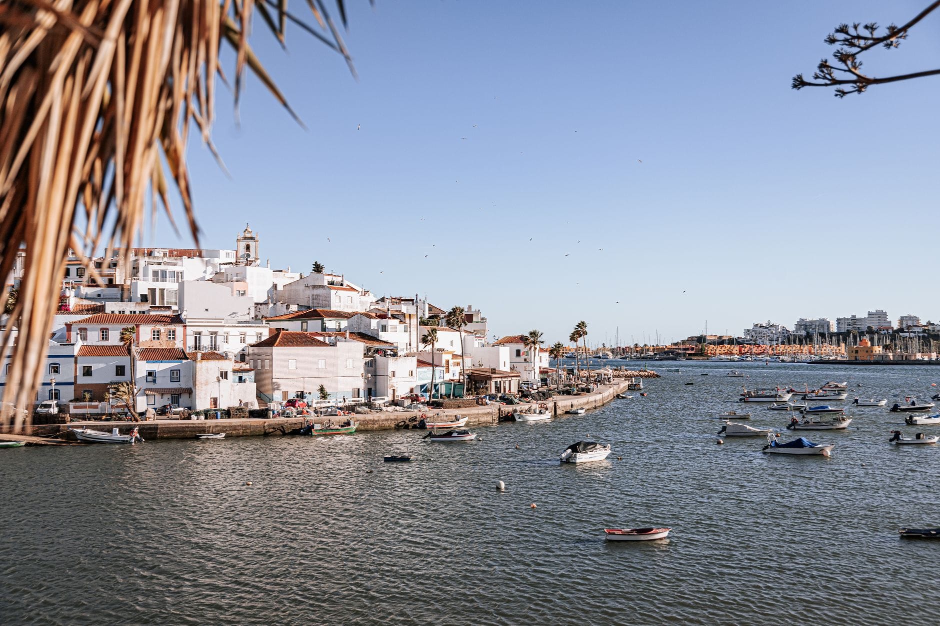 a coastal city under a clear sky
