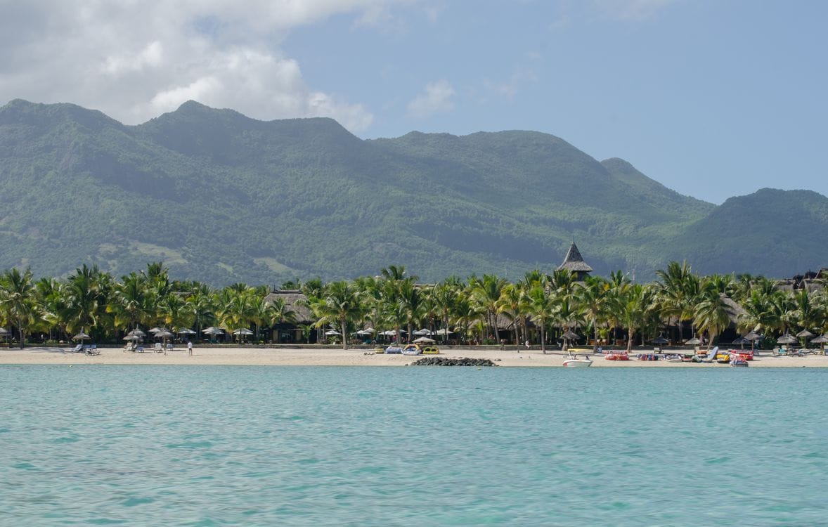 Peaceful tropical beach scene with palm trees and azure sea