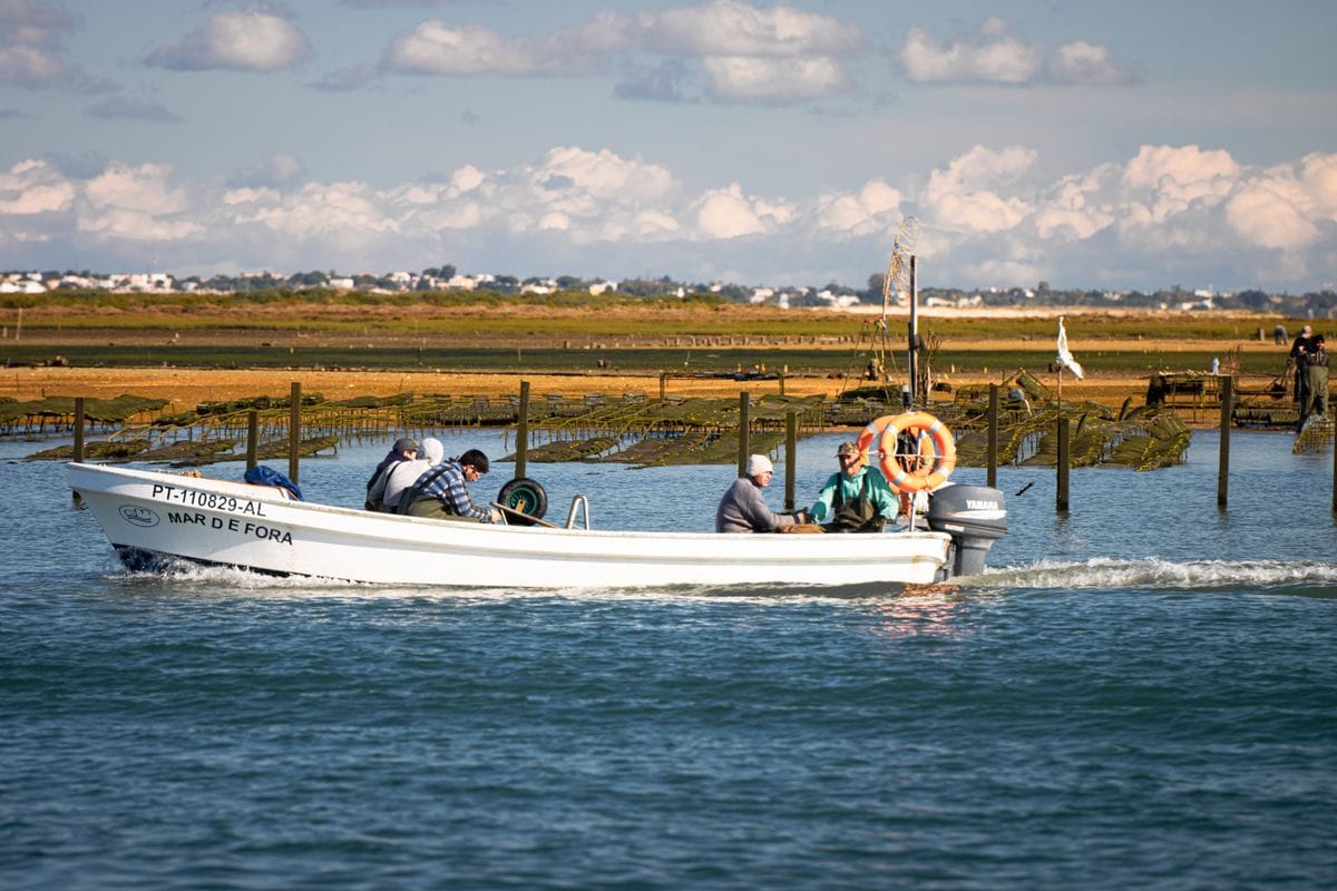 Fishermen on a boat in Ria Formosa natural park near Olhão, Algarve, Portugal