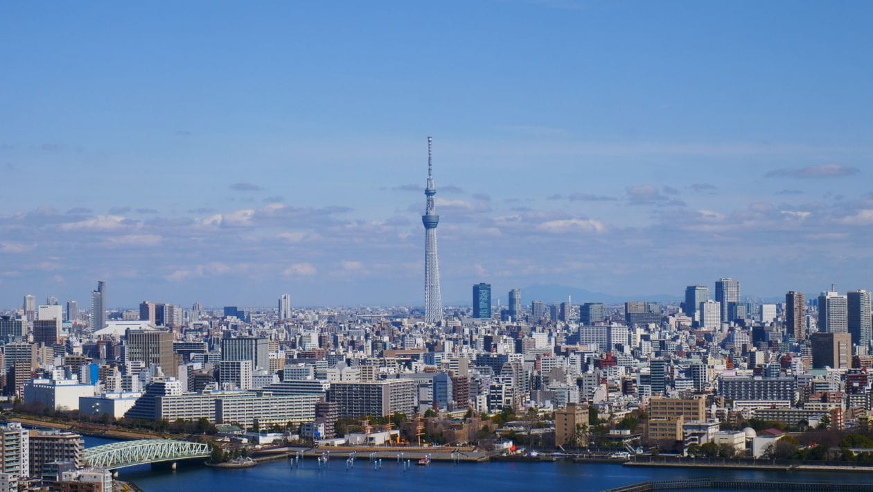 Tokyo Skytree aerial view over the city