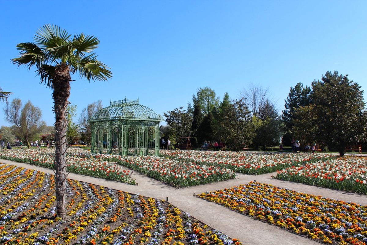 Vibrant spring gardens in Vienna with ornate architecture and colourful flowerbeds