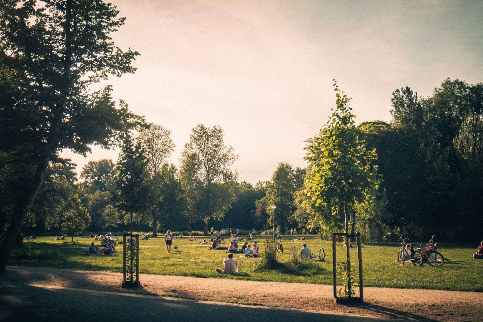 Visitors relaxing in Vondelpark on a summer day in Amsterdam