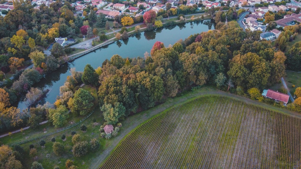 Aerial view of Bordeaux vineyards and river in autumn, harvest season