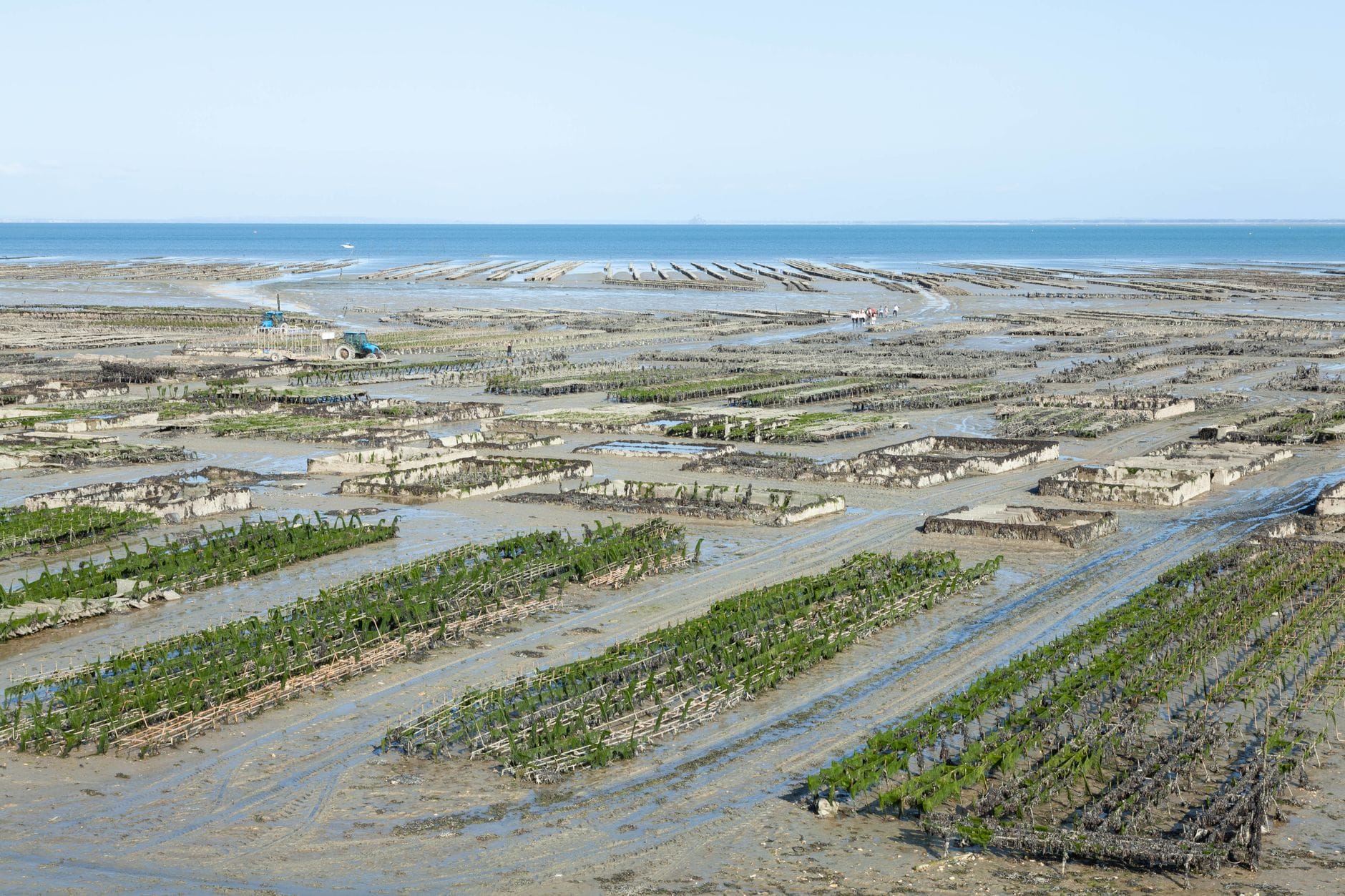 Oyster beds exposed at low tide in Cancale, a short drive from Saint-Malo