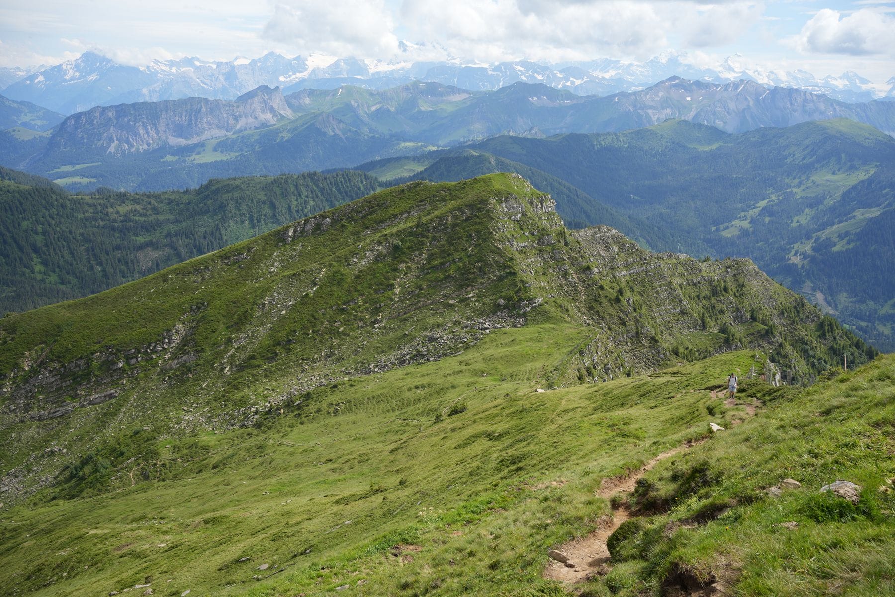 A grassy alpine ridge trail with distant snow-capped peaks near Chamonix