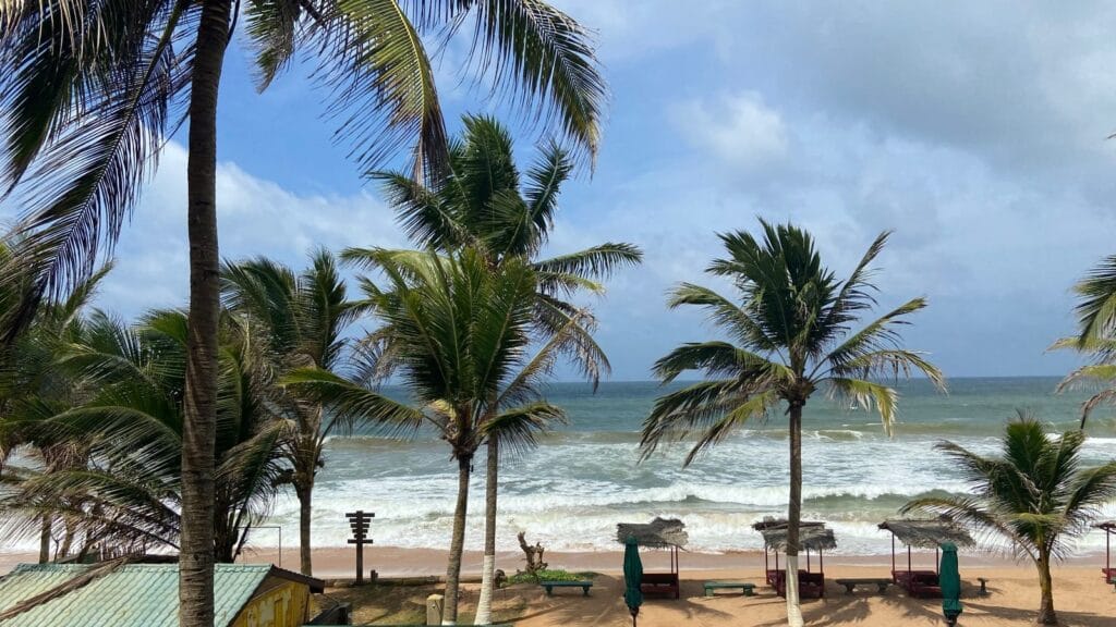 Palm-fringed beach in Bentota, Sri Lanka