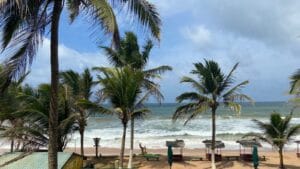 Palm-fringed beach in Bentota, Sri Lanka
