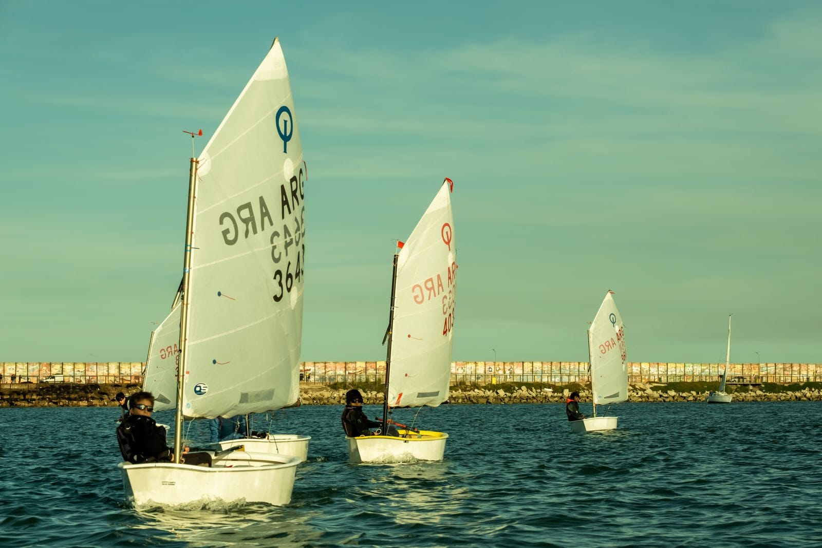 Young sailors racing Optimist dinghies, the kind of sailing that fills Salcombe's estuary during Regatta week