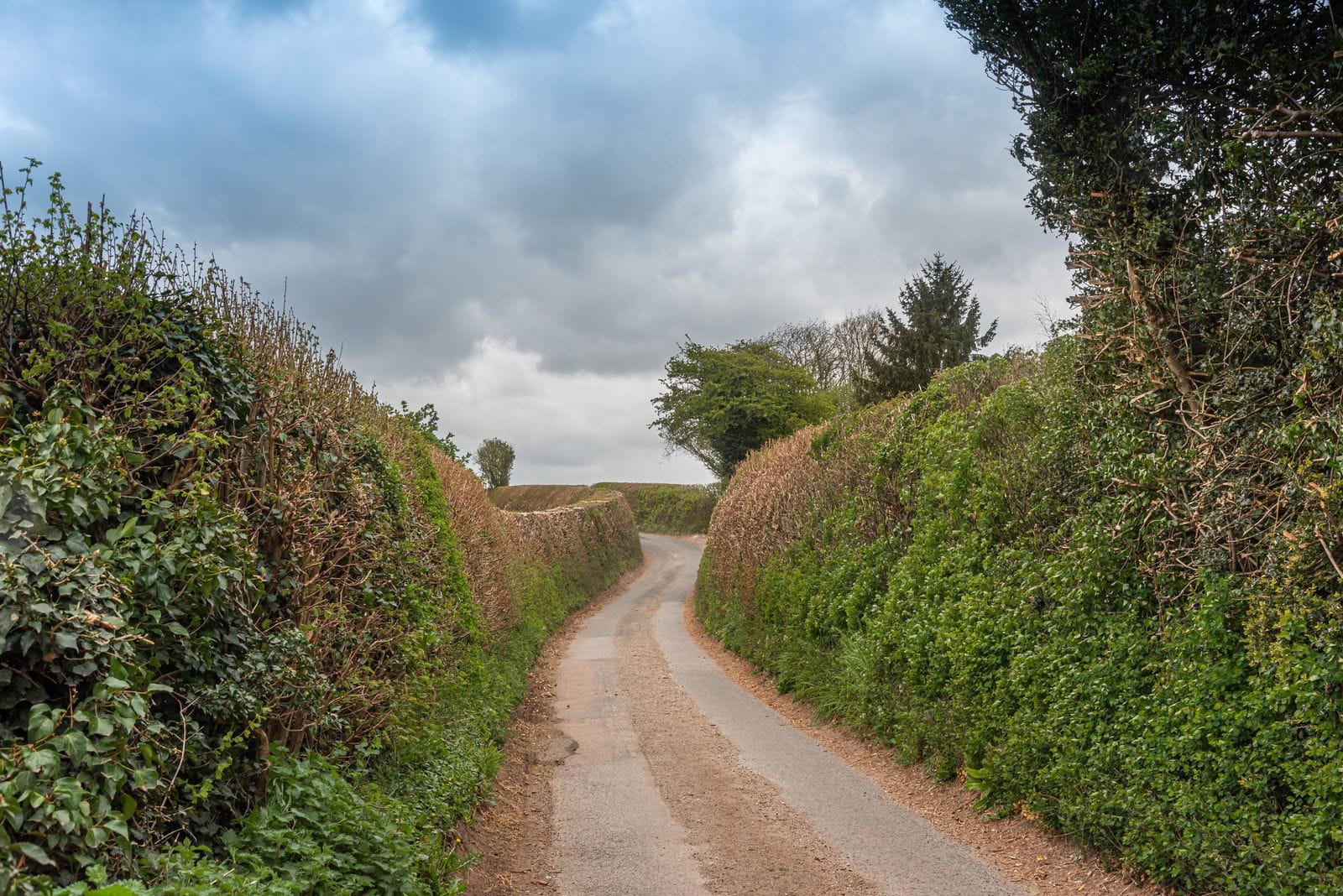 A narrow country lane in rural Devon, typical of the final stretch of the drive into Salcombe
