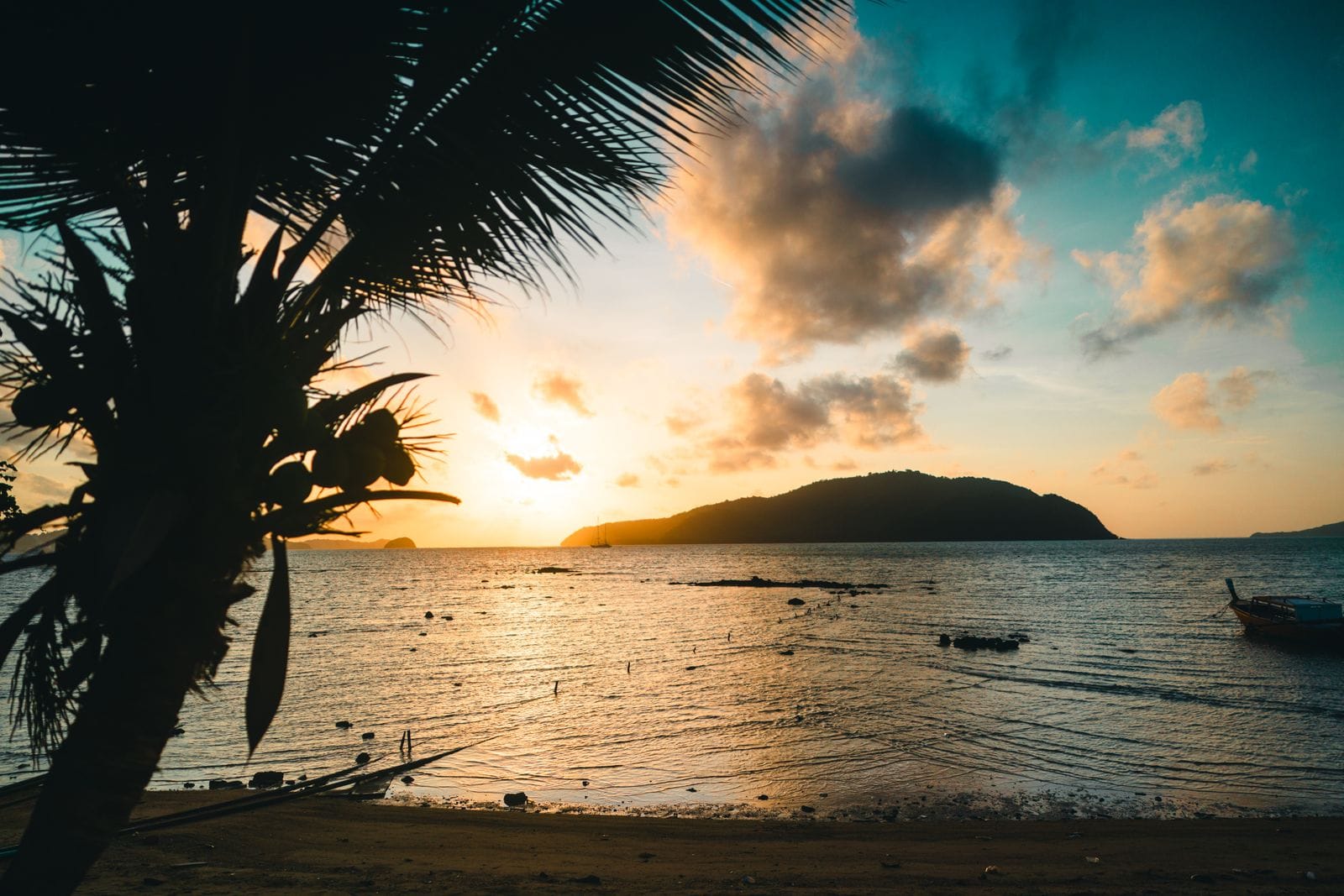 Silhouette of a palm tree against a sunset over the sea in Phuket, Thailand