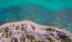 Aerial view of a turquoise Caribbean beach lined with palm trees, a classic Virgin Holidays destination