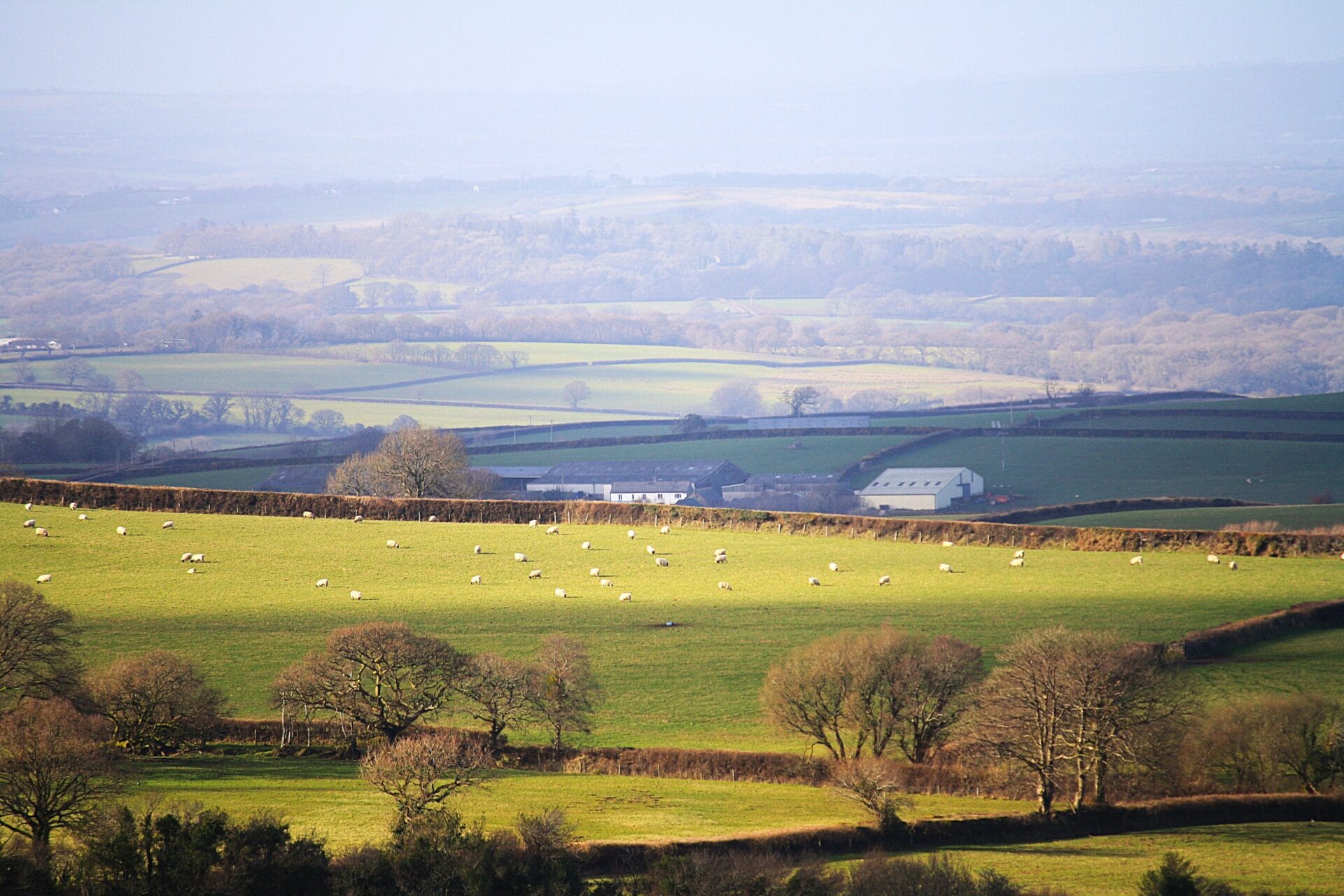 Dartmoor's rolling countryside, South Devon