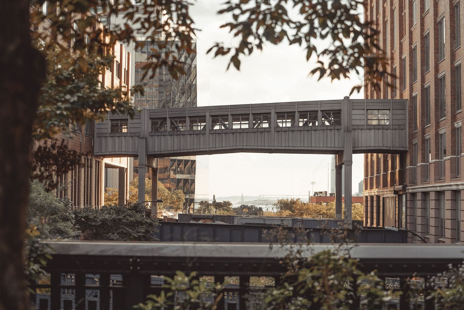 The High Line elevated park in Chelsea