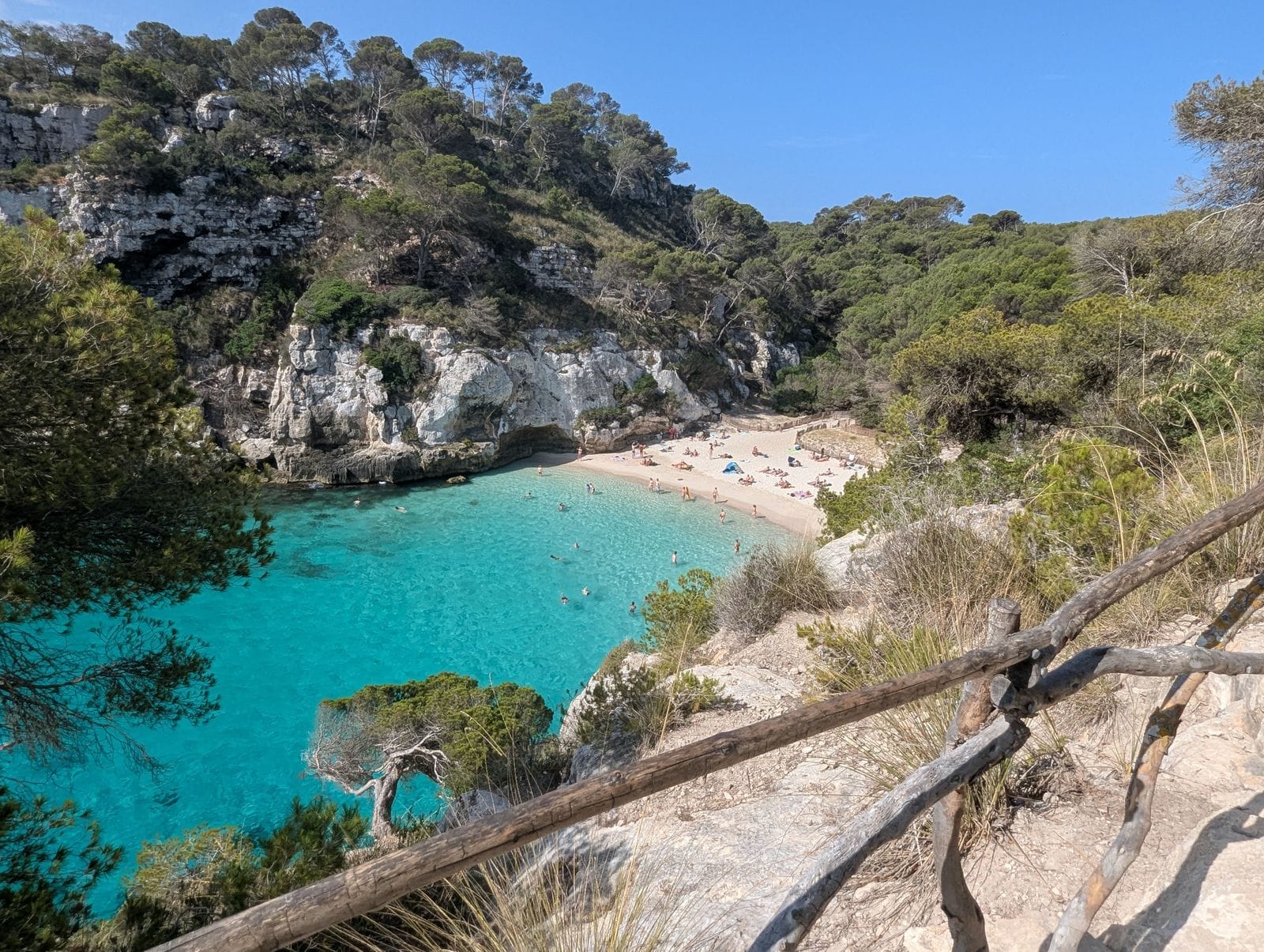 Is Menorca expensive: turquoise water and pine-backed cliffs at Cala Macarella beach near Ciutadella