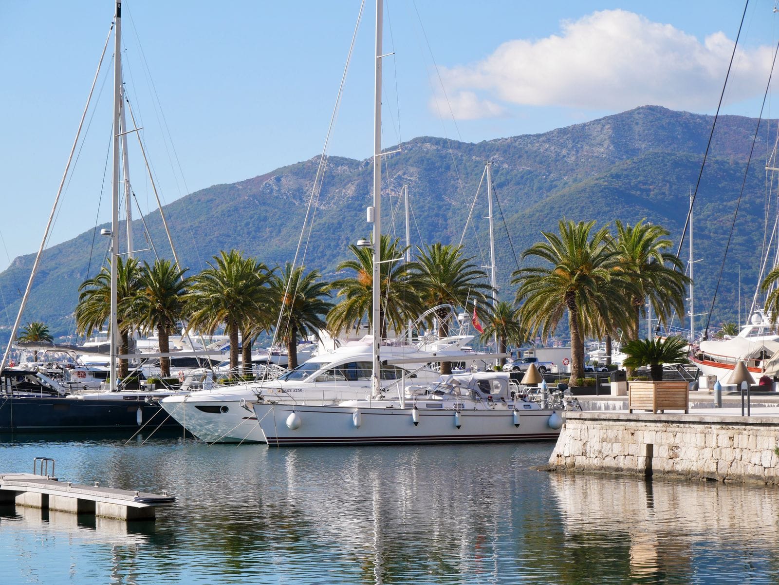 Yachts moored along a palm-lined quay at the marina in Tivat, Montenegro, with mountains rising behind