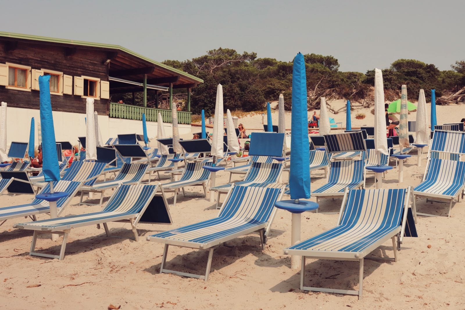 Rows of empty blue-striped sun loungers and folded umbrellas on the sand at a Sardinian beach club, with pines behind the dunes