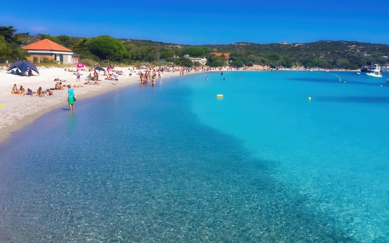 Is Sardinia expensive: bathers in clear turquoise shallows off a white sand beach in Sardinia, with low green scrub headland behind