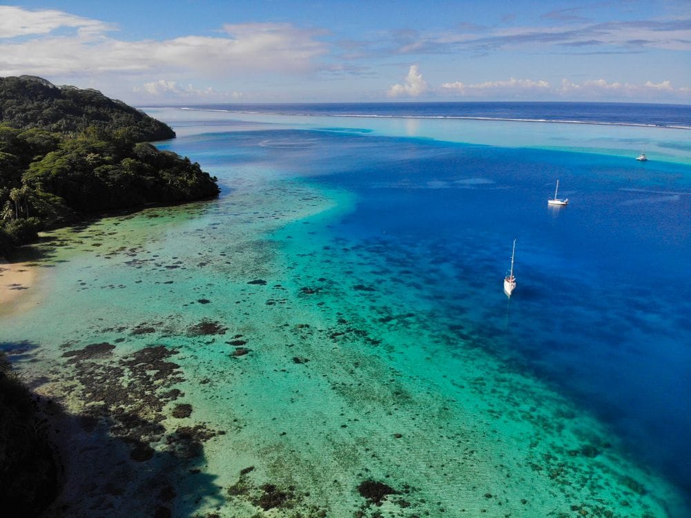 Compare the Market reviews: an aerial view of a turquoise lagoon and forested coastline