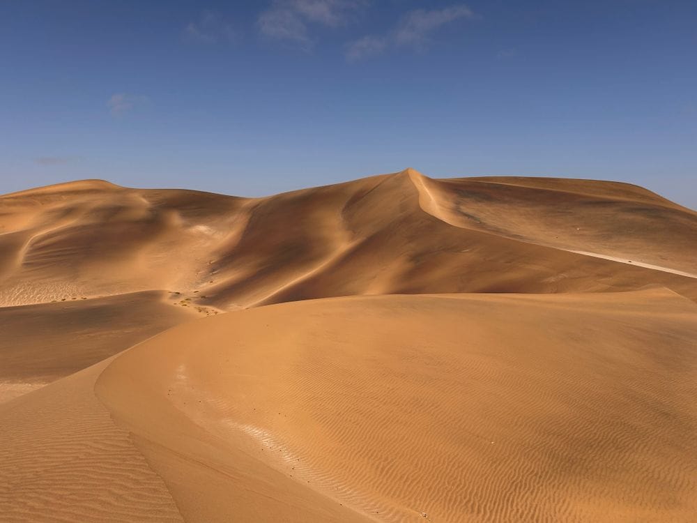 Golden sand dunes under a clear sky, Swakopmund, Namibia