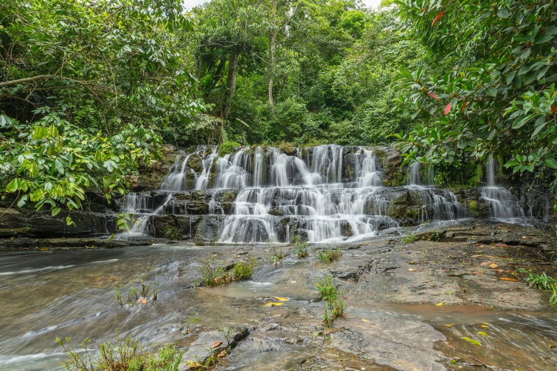 A cascading waterfall in a lush Costa Rican rainforest