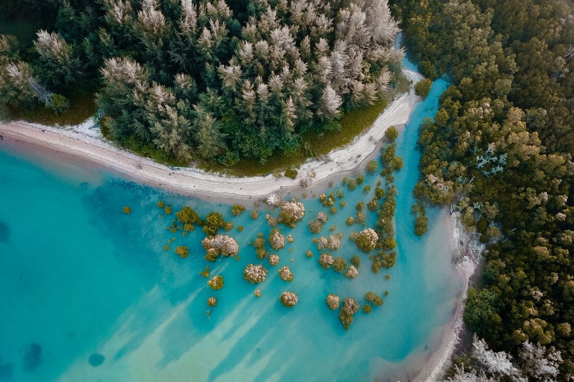 An aerial view of a turquoise tropical shore meeting dense green forest