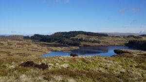 Scottish Highland loch and hills near a Highland hotel break