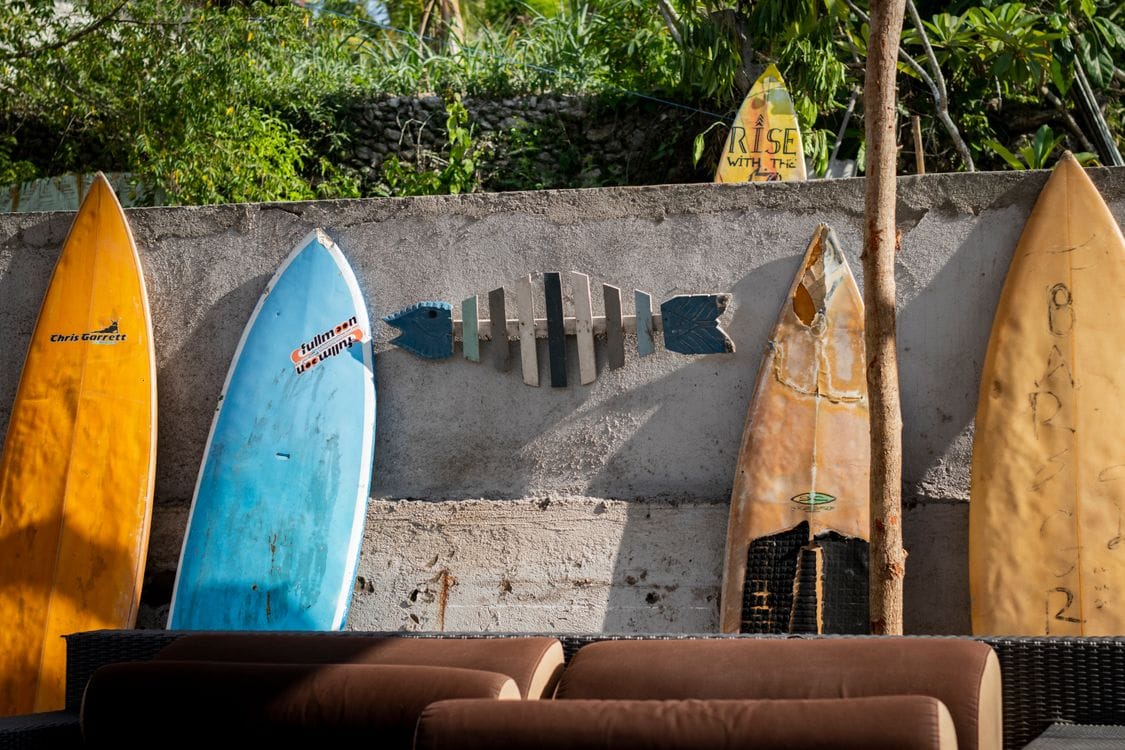 A row of surfboards in different colours leaning against a wall in a sunny garden